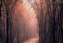 雷火电竞登录-蓝白风暴席卷绿茵：当世界杯王者碾压俱乐部王朝