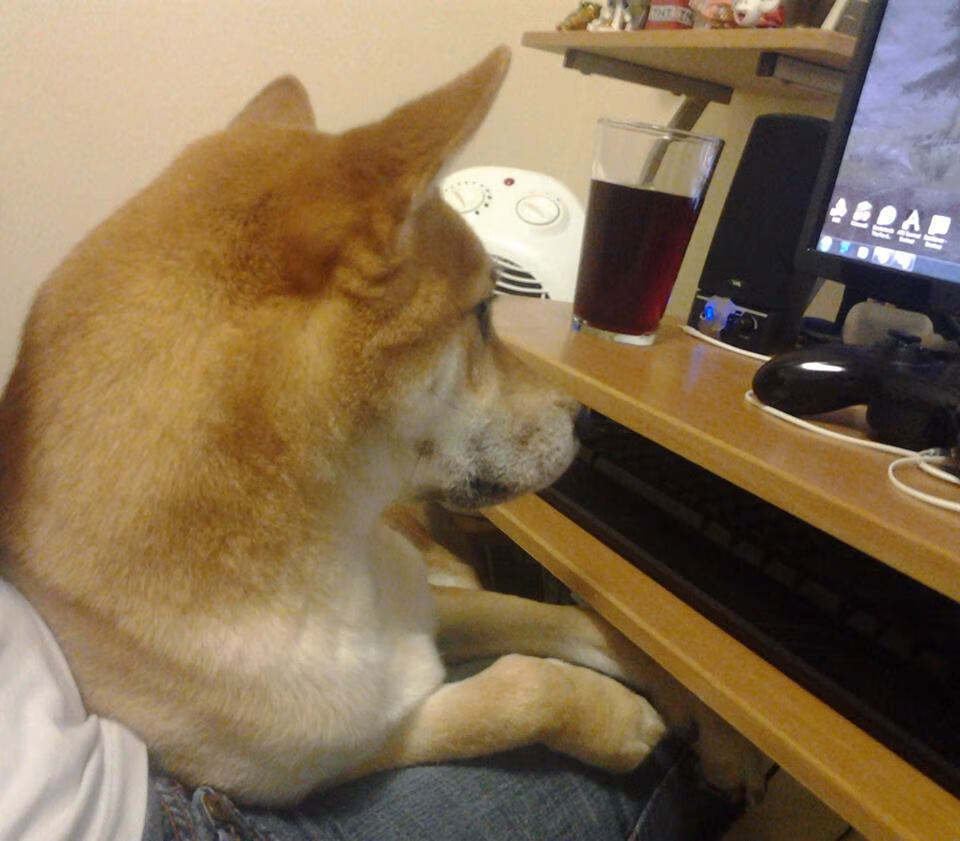 雷火电竞主播-东契奇锋芒，当个人艺术遇见雄鹿铁壁的集体哲学