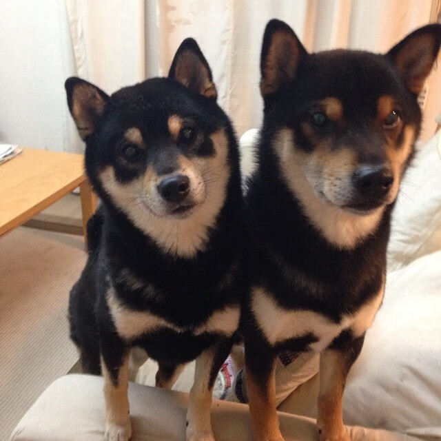 佩德里爆发难救主！哥斯达黎加决胜局惊天逆转带走皇家社会