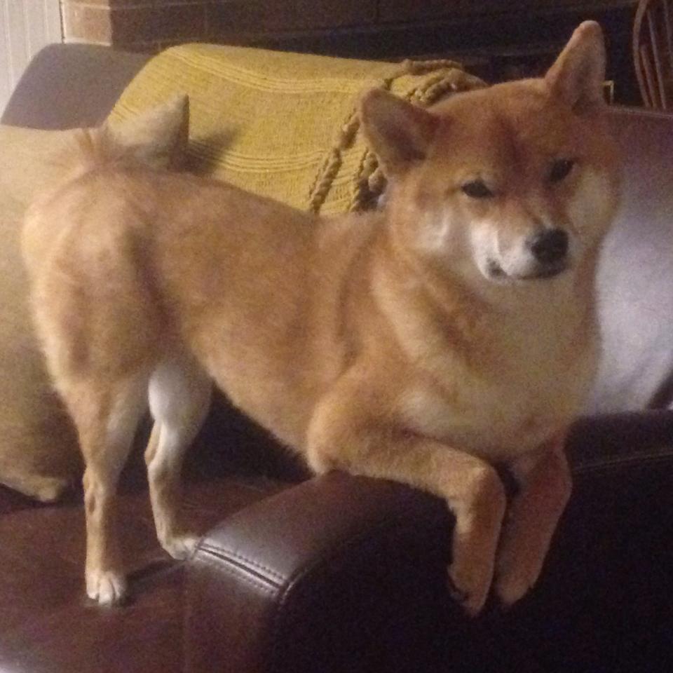 雷火电竞官网-当伦纳德踏上威斯特法伦，德甲争冠夜，一位篮球巨星的跨界救赎