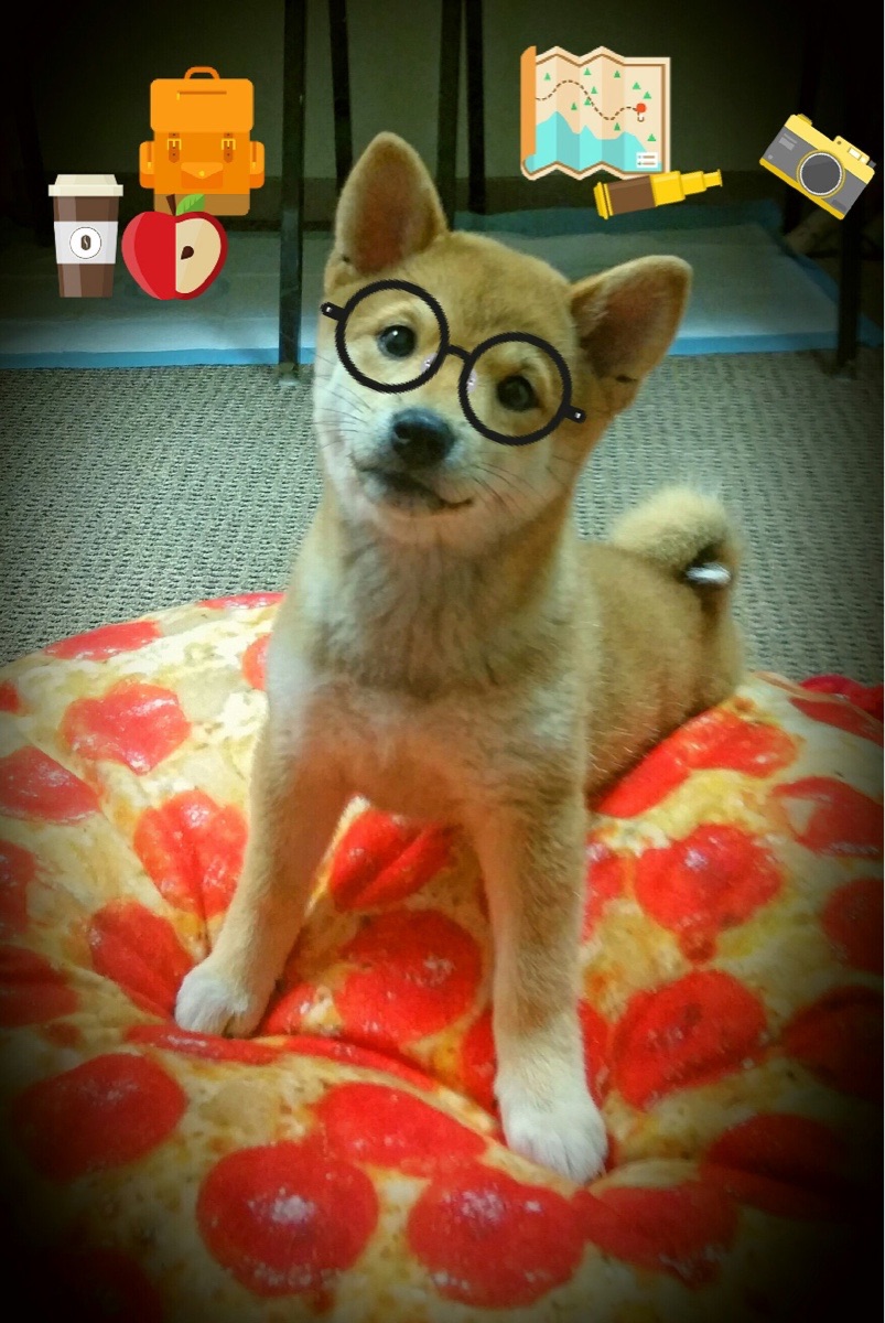 雷火电竞合作-黑马逆袭！克瓦拉茨赫利亚爆发助几内亚俱乐部淘汰赛掀翻AC米兰