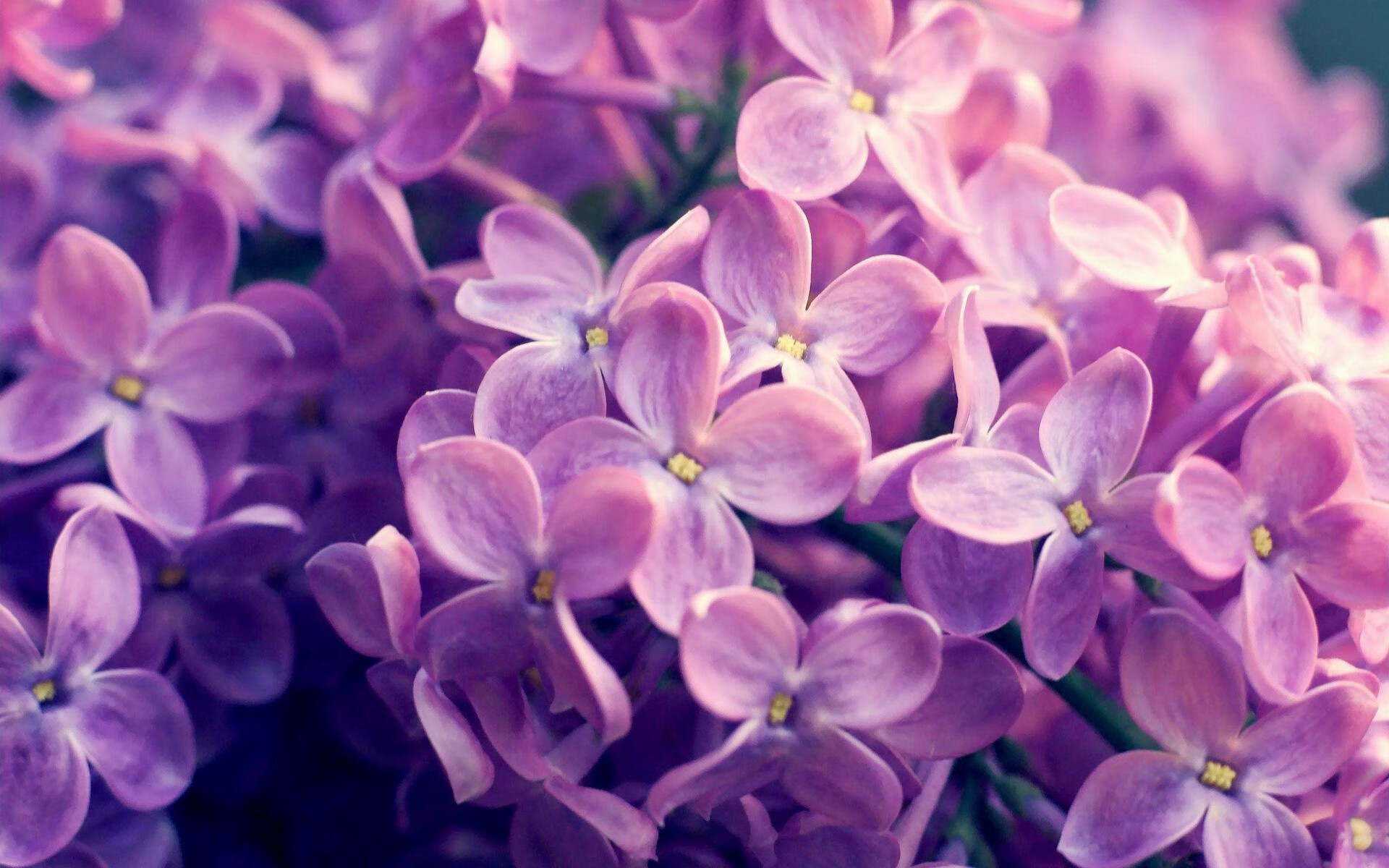 雷火电竞网址-一剑霜寒，弗拉霍维奇在欧冠淘汰赛之夜诠释何为完美