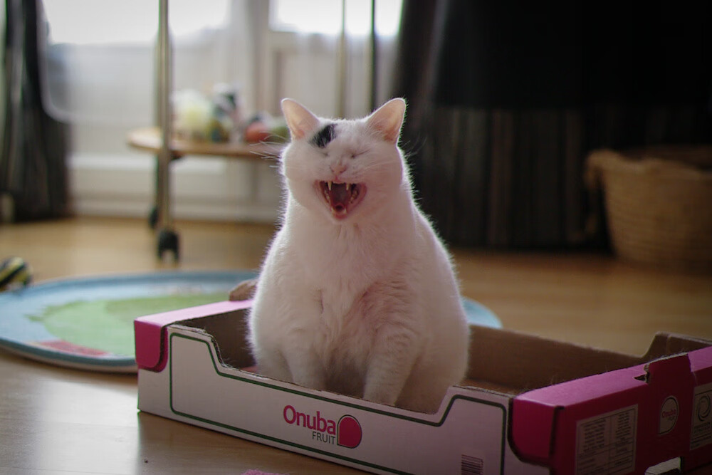 铁血马刺与天山铁骑的终极碰撞，拉梅洛·鲍尔在全球瞩目下完成史诗接管