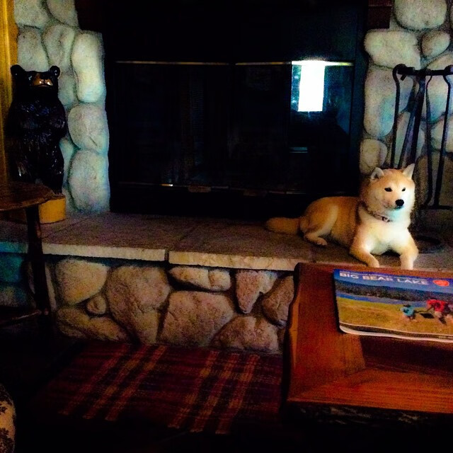 矛盾共生体，布雷默扛着巴西前行，巴萨火力却压制着桑巴军团