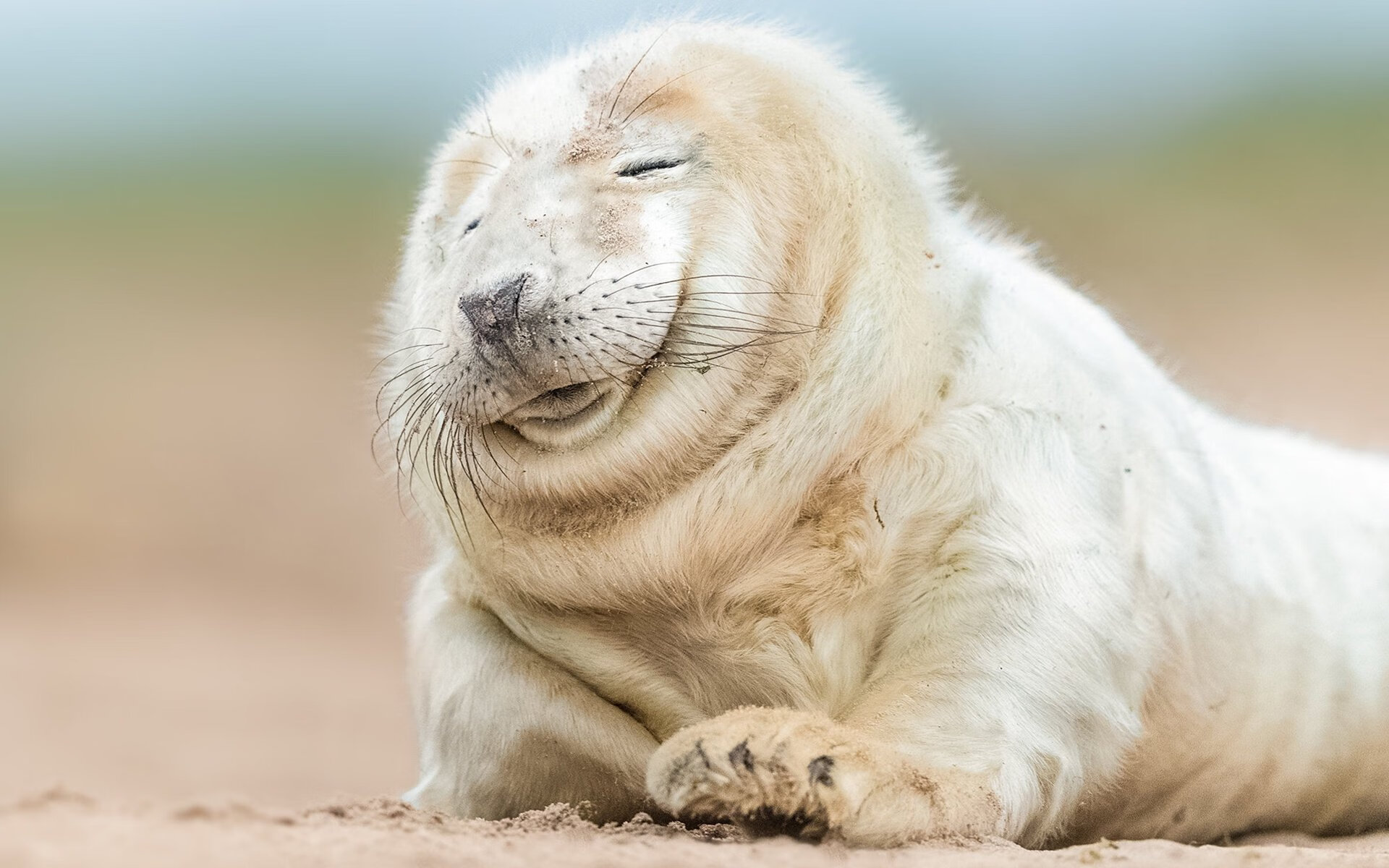 防线上的艺术，阿劳霍式防守如何决定F1年度王冠的归属