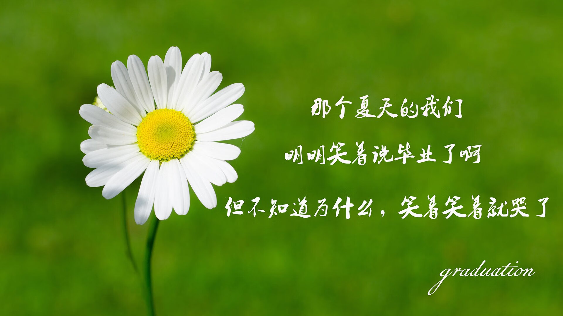 雷火电竞充值-无声的旗帜，当日本在球场上压制挪威，孙兴慜如何成为唯一的坐标系