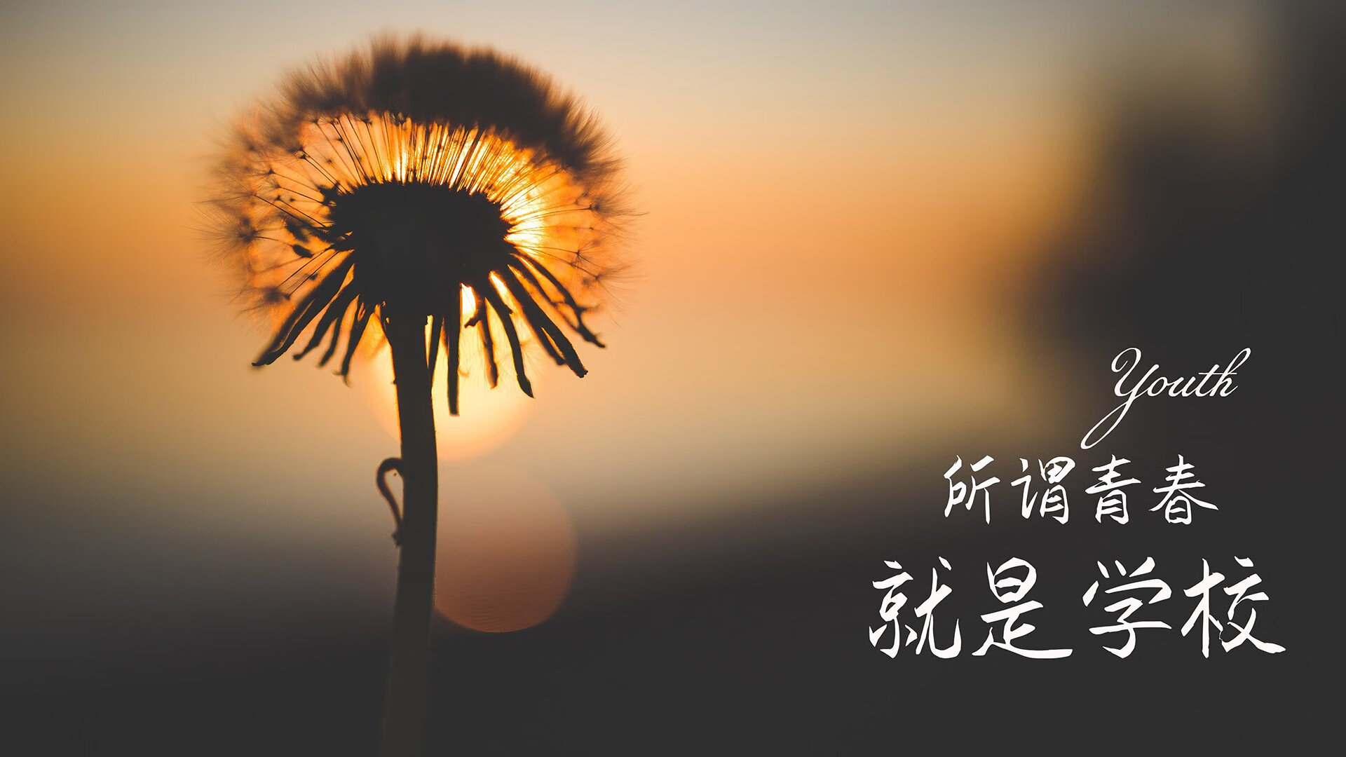 雷火电竞合作-超级莱万托起丹麦？不，是丹麦用团队锋利度斩断拜仁系独木桥