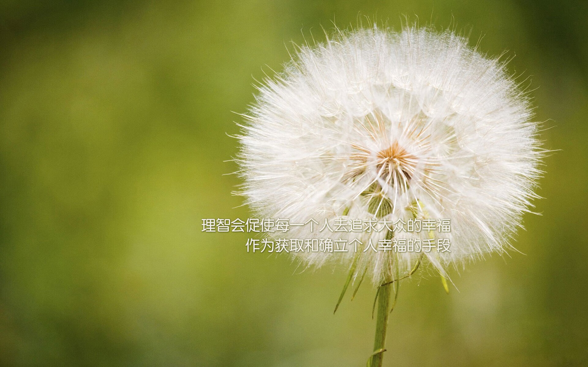 黑马狂飙,2026世界杯焦点战,哥斯达黎加横扫美国,德布劳内客串主导惊天冷门